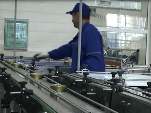 Транспортер пластинчатый (Универсальный) в Выборге